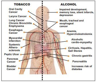 Figure 7: Common adverse effects of tobacco and alcohol.