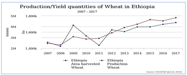 Figure 1: Wheat harvested area (ha) and production trend in Ethiopia from 2007 to 2017 source [5].