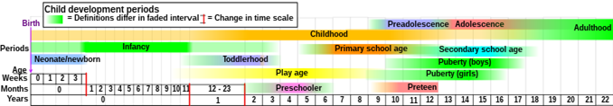 Figure 1: Approximate outline of development periods in “childhood” and early adulthood development. Adolescence is marked in red at top right [5].