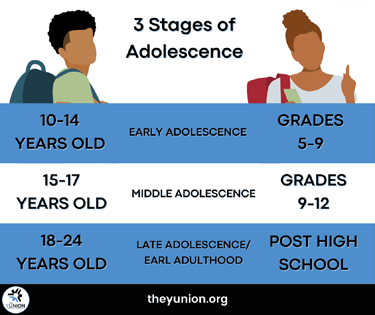 Figure 2: The stages of adolescence [6].