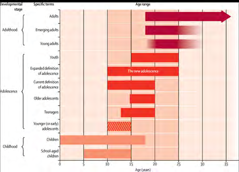 Figure 3: The human developmental stages from birth to adulthood [7].