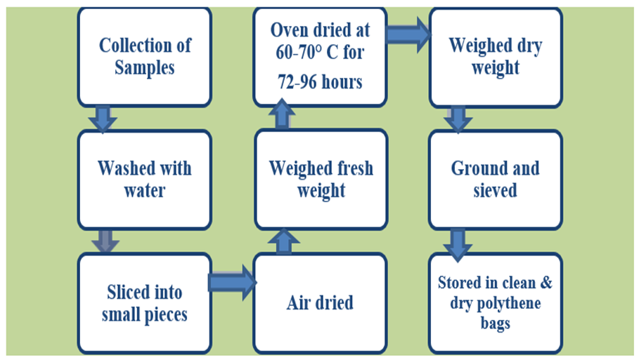 Figure 1: Flow chart for plant sample preparation and preservation.