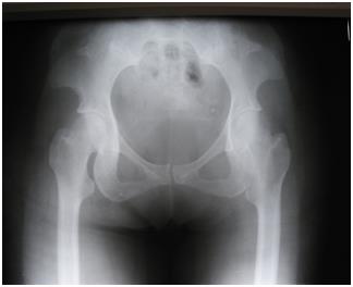 Figure 15