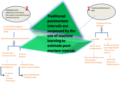 Figure 1: Traditional Post-Mortem Intervals are Surpassed by the Use of Machine Learning to Estimate Post-Mortem Interval.