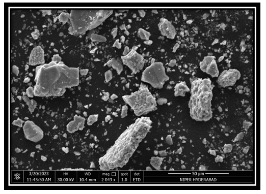 Figure 18: SEM Analysis of Bhasma.