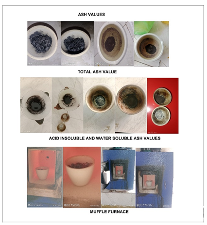 Figure 3: Evaluation of Bhasma.