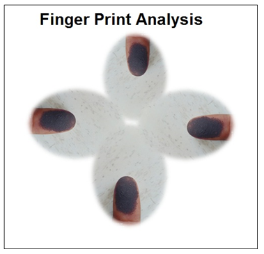 Figure 5: Floating Test.