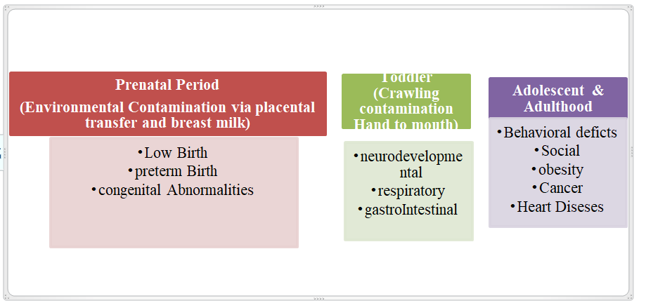 Figure 3: Exposed to environmental hazards has on a person throughout the course of their entire life.