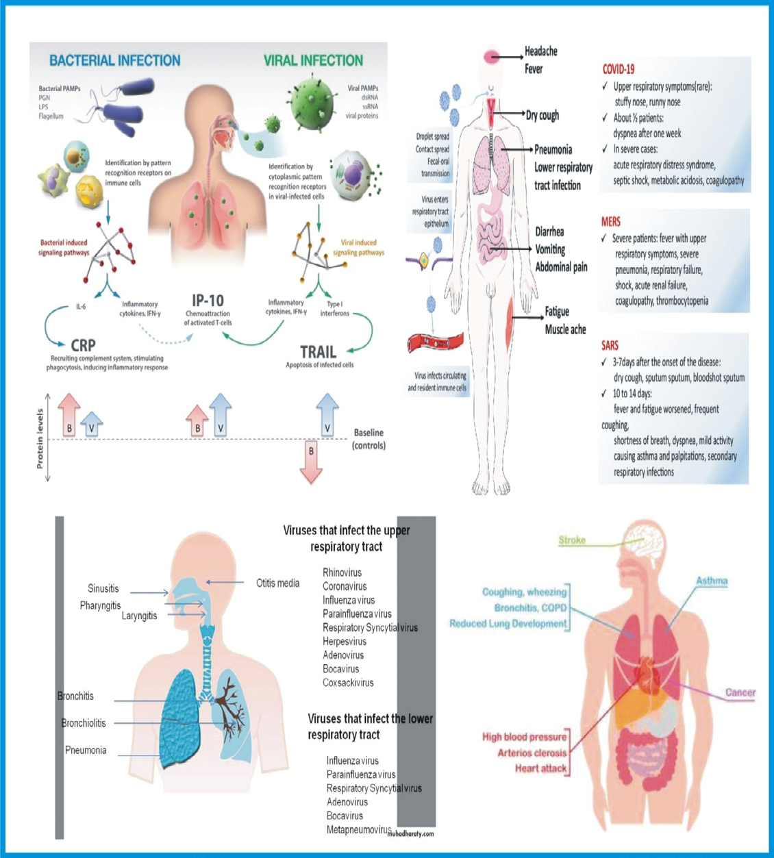 Figure 15: How COVID-19 droplets can enter the respiratory of the body and its effect [32,33,41,42].