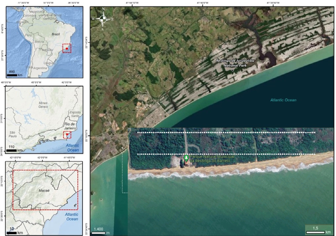 Figure 1: Geographic map of the study area showing the municipality of Macaé on the coast of Rio de Janeiro State, Brazil. The Municipal Natural Park of Barreto’s Restinga (PNMRB). The red rectangle indicates the sampling area.