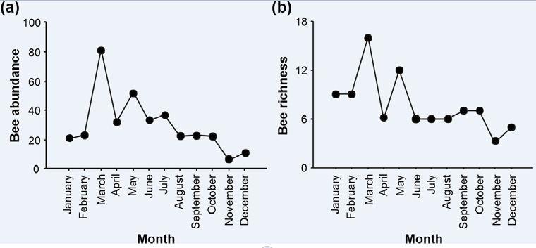 Figure 2: Relationship between abundance (a) and bee richness (b) over the months of the year sampled in the Municipal Natural Park of Barreto’s Restinga, Macaé, RJ, between 2019 and 2020.