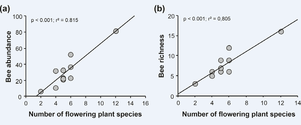Figure 4: Relationship between the abundance (a) and richness of bees (b) with the species richness of flowering plants, in the Municipal Natural Park of Barreto’s Restinga, Macaé, RJ, between 2019 and 2020.