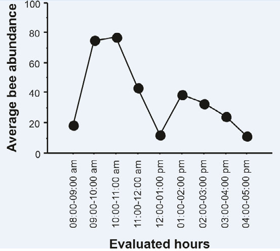 Figure 5: Relation of the average abundance of bees according to the hours evaluated in the Municipal Natural Park of Barreto’s Restinga, Macaé, RJ, between 2019 and 2020.