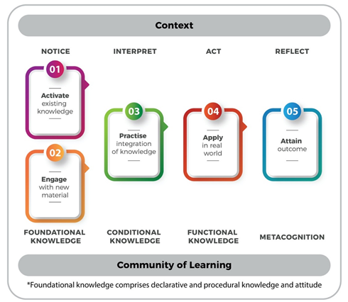 Figure 1: Conceptual framework to promote transfer of learning.
