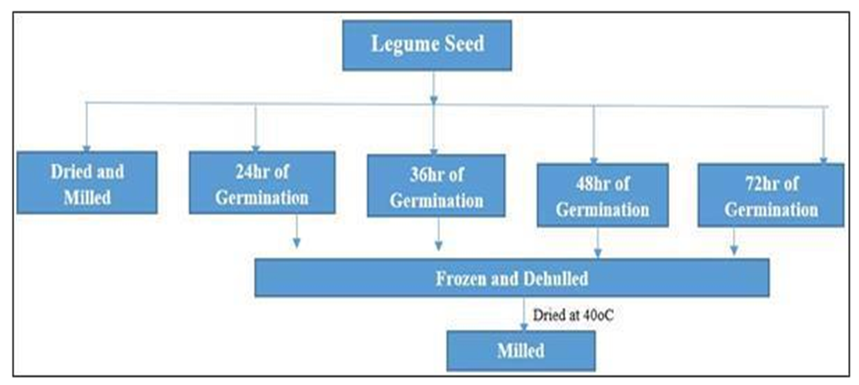 Figure 3: Preparation of Beans Flour/Schematic representation.