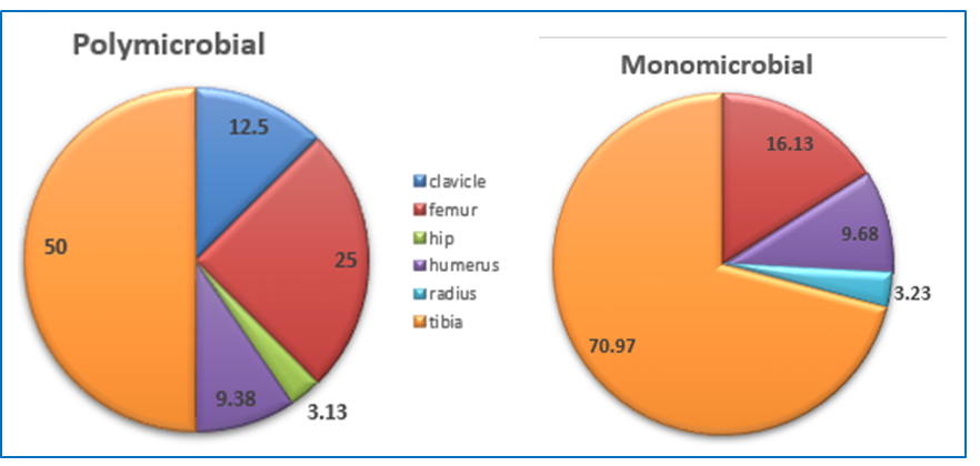 Figure 2: The median age for patients with poly-microbial OM was 36 years (IQR = 31.5 ‒ 56 years).