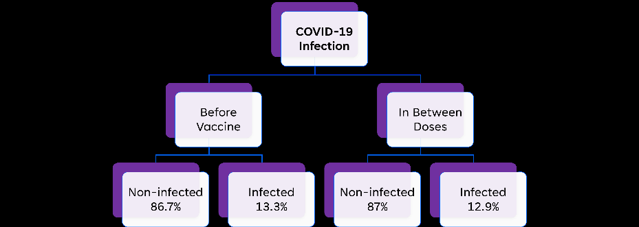 Figure 1: Among this group, 5% of those infected required hospitalization. Analysis of responses indicated that 53.5% received a total of two doses along with a booster, with Pfizer-BioNTech being the primary initial vaccine chosen by 54% of individuals, followed by Moderna refer to Table 1.