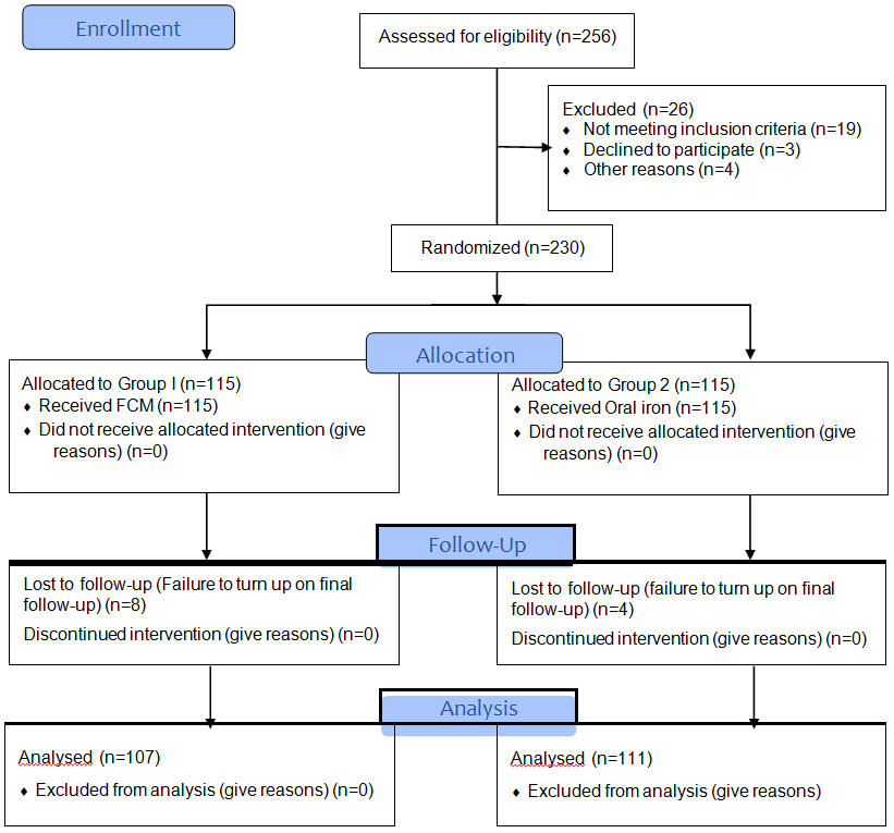 Figure 1: CONSORT Flow Diagram.