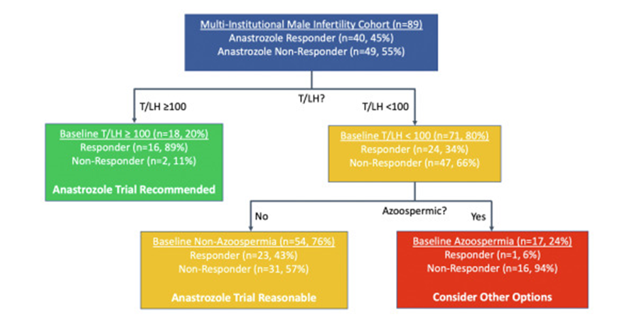 Figure 2: Courtesy ref no-13-The testosterone-to-luteinizing hormone (T-LH) ratio and baseline nonazoospermia identify appropriate candidates for the initiation of anastrozole. Recursive partitioning analysis identified the baseline T-LH ratio with a cutoff ≥100 as the best initial differentiator for selecting patients most likely to experience a World Health Organization sperm classification category (WHO-SCC) upgrade. The cohort was further partitioned by identifying those unlikely to respond to treatment, which included those with baseline azoospermia. Nonazoospermic patients with a baseline T-LH ratio <100 constituted the final fraction of the cohort. Under the assumption that all patients with nonazoospermia received a trial of anastrozole and all patients with azoospermia avoided treatment, this partitioning model was 98% sensitive and 33% specific for WHO-SCC upgrades. Notably, one patient in the cohort did not possess a baseline LH measurement and was excluded from partitioning analysis.