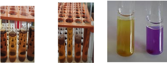 Figure 5: Acid tolerance, bile tolerance and Arginine hydrolysis of curd.