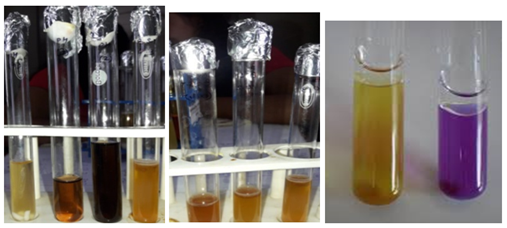 Figure 6: Acid tolerance, bile tolerance and Arginine hydrolysis of cheese sample.