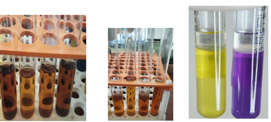 Figure 7: Acid tolerance, bile tolrence and Arginine hydrolysis of yoghurt sample.