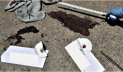 Figure 3: Biological Evidence Found on the Road.