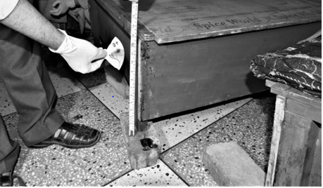 Figure 6: Instant Blood Detection on the Spot.