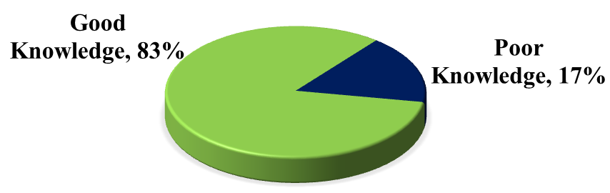 Figure 1: Knowledge of participants on obstetric danger signs.