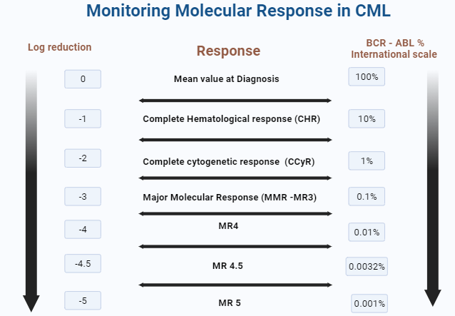 Figure 4: Shows the Molecular Monitoring response in CML