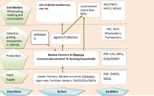 Figure 1: Enabling business environment, market chain actors and inputs/service providers details profile have been developed during market mapping of banana. Dhanusa district has high possibilities of agricultural commercialization because of suitable climate, favourable soil and infrastructural development. District Agricultural Development Office (DADO) has identified the potentiality of commercialization of banana in some areas with well-drained soil conditions. Bananas are cultivated more than 10 ha land in PAF Cos area in the district. Banana cultivation is mainly focused in Laxminiya Rural Municipality Ward No. 2 of Dhanusa. All banana producers have adopted the production in more 4 Katthas of land using own area as well as leased in. Banana plantation has just started to give yield from this year and they were receiving good market in the local city, Janakpur to sell banana fruits and whole miniature plant for religious purposes. The area allocated for banana production is relatively marginal with well availability of underground irrigation system and proper drainage. This area has good scope for further expansion of the production in commercial scale after facilitating the lease in of public and private land, credit availability, Insurance, strengthening of agrovets and sapling suppliers. The producers are relatively new to this business and they have realized intensive training on different production and market aspects to increase their efficiency in coming days.