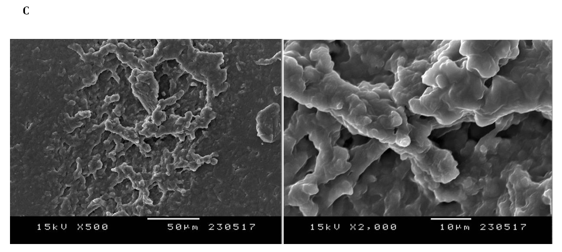 Figure 5: Mechanical properties of CPC-based biofilms: A: Tensile strength; B: Elongation at break; C: Young modulus.
