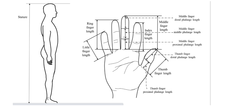Figure 2: Measurement of Height using a portable tadiometer.