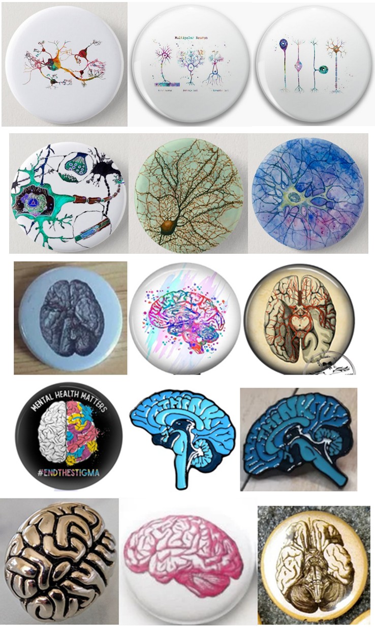 Figure 2: Images of the brain in different projections.