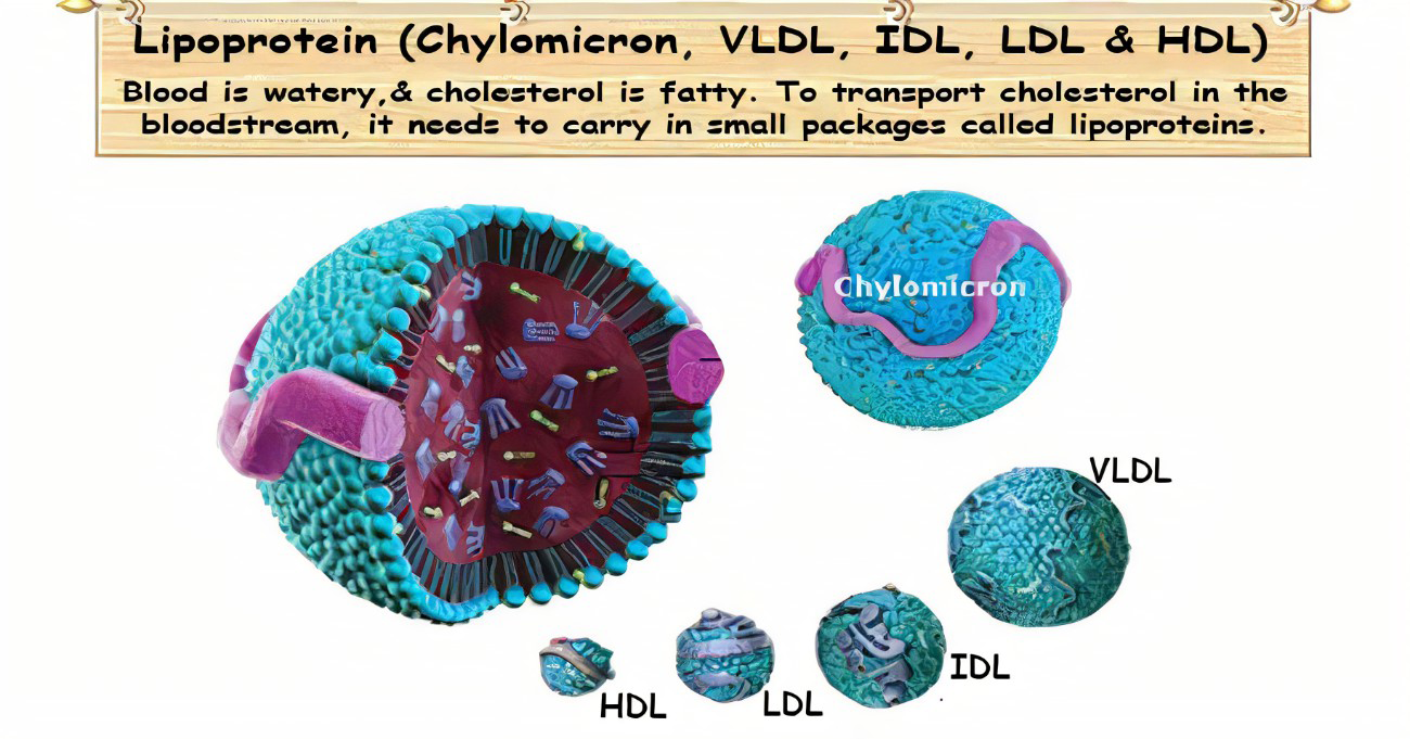 Figure 1: Graph showing Levels of Lipoprotein against the diabetic subjects and their control counterparts.