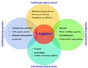 Figure 1: Beneficial Effects of Legumes - Based Cropping on Soil Properties [43].