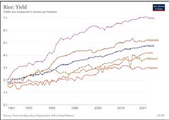 Figure 3: FAO all Price Index from 2019 to 2023. Retrieved from Food Agriculture Organization of the United Nations (FAO), 2023 [3].