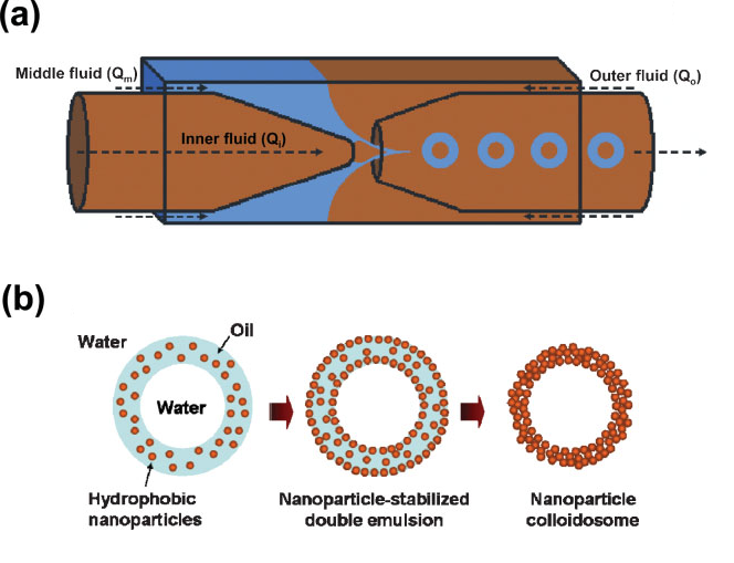 Figure 5: a) Schematic presentation of preparation of double emulsion by microcapillary device. b) Schematic presentation for preparation of nanoparticle colloidosomes from double emulsion.