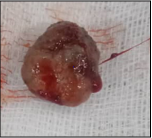 Figure 2: Removed Cut Specimen.