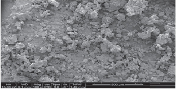 Figure 6: SEM image of optimized SLN formulation (ND4).