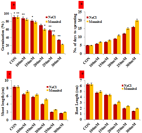 Figure 1: Assessment of the impact of magnetic hematite nanoparticle on in-vitro growth and development attributes of Vigna mungo under different concentration of NaCl and Mannitol stress. a) Germination percentage of V. mungo seeds soaked in 100-300 mM NaCl and Mannitol solution for 24 h; b) Number of days to sprouting of V. mungo seeds; c) Shoot length (cm) of V. mungo seeds sown in petri plates; d) Root length (cm) of V. mungo seeds sown in petri plates. (Data represent the mean of three replicates (n=3), with error bars representing standard deviation of the mean. (p≤ 0.05) between treated lines and non- treated control plant exposed to the same treatment).