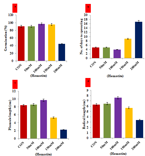 Figure 2: Hormesis effect of magnetic hematite nanoparticle on the attributes of V. mungo seeds a) Histogram showed the germination percentage of V. mungo seeds soaked in hematite nanoparticle (50mM to 200mM) for 1 h; b) Number of days to sprouting of V. mungo seeds; c) Shoot length (cm) of V. mungo seeds sown in petri plates; d) Root length (cm) of V. mungo seeds sown in petri plates. (Data represent the mean of three replicates (n=3), with error bars representing standard deviation of the mean. (p≤ 0.05) between treated lines and non-treated control plant exposed to the same treatment).