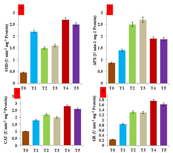 Figure 6: Effect of hematite nanoparticle on the antioxidant enzyme activity of protein extracted from the leaves of V. mungo plants grown under salt and drought stress-a) Histogram showing the enzyme activity of superoxide dismutase (SOD); b) Histogram showing the enzyme activity of ascorbate peroxidase (APX); c) Histogram showing the enzyme activity of catalase (CAT); d) Histogram showing the enzyme activity of glutathione reductase (GR). T0: Control (non-stressed, non-treated) plants of V. mungo; T1: Non-stressed plants, of V. mungo treated with hematite nanoparticle; T2: Salt (NaCl) stressed plants of V. mungo; T3: Drought (Mannitol) stressed plants of V. mungo; T4: Salt (NaCl) stressed plants of V. mungo treated with hematite nanoparticle; T5: Drought (Mannitol) stressed plants of V. mungo treated with hematite nanoparticle. (Data represent the mean of three replicates (n=3), with error bars representing standard deviation of the mean. (p≤ 0.05) between treated lines and non-treated control plant exposed to the same treatment).