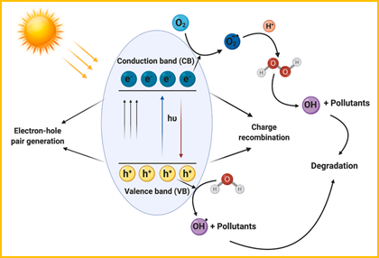 Figure 2: Schematic illustration depicting the photocatalytic mechanism under simulated sunlight irradiation [61].