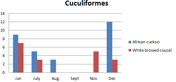 Figure 12: Number of bird species of the family Cuculidae observed in Um Dum Island, Khartoum, Sudan during June – December 2020.