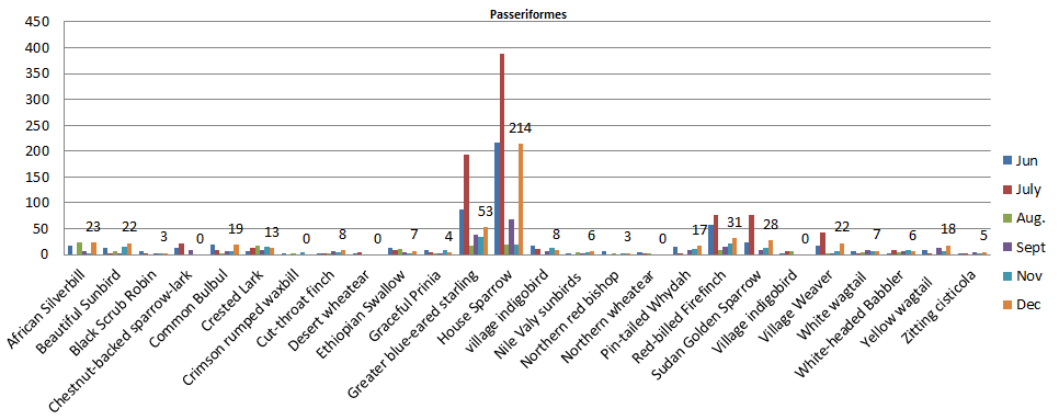 Figure 13: Number of bird species of the family Alaudidae, Charadriidae, Cisticolidae, Estrildidae, Hirundinidae, Leiothrichidae, Motacillidae, Muscicapidae, Nectariniidae, Passeridae, Ploceidae, Pycnonotidae, Sturnidae and Viduidae observed in Um Dum Island, Khartoum, Sudan during June – December 2020.