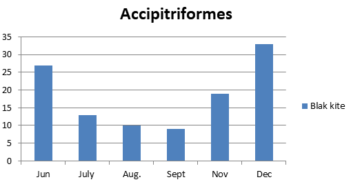 Figure 2: Number of bird species of the family Accipitridae observed in Um Dum Island, Khartoum, Sudan during June – December 2020.