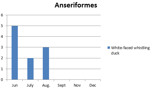 Figure 3: Number of bird species of the family Anatidae observed in Um Dum Island, Khartoum, Sudan during June – December 2020.