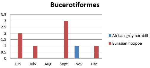 Figure 5: Number of bird species of the family Bucerotidae and Upupidae observed in Um Dum Island, Khartoum, Sudan during June – December 2020.