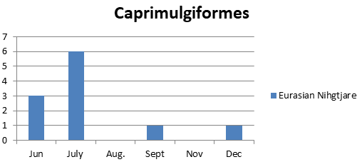 Figure 6: Number of bird species of the family Caprimulgidae observed in Um Dum Island, Khartoum, Sudan during June – December 2020.